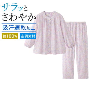 O[ pW} fB[X 100 Rbg f  pc wl   QԒ Q GUNZE O[ S M L LL TP2175