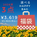 福袋 中身が選べる福袋 レディース 2026 レディース 送料無料 選べる福袋 コーディネートセット コーデセット ファッ…