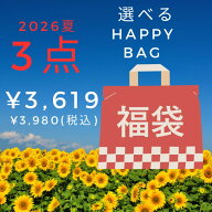 福袋 中身が選べる福袋 レディース 2026 レディース 送料無料 選べる福袋 コーディネートセット コーデセ…