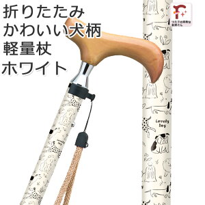  ܂肽  Ck y p  킢 ʕ AC{[ zCg lbNdl A~ XebL u[hbOybsOΉzMtgy IV 