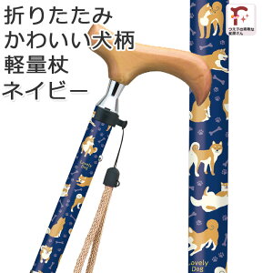   ܂肽 킢 Ck  y p  A~ XebLybsOΉzMtgu[hbO S4J[ ʕ XlbNdly IV 