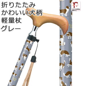   ܂肽 킢 Ck  y p  A~ XebLybsOΉzMtgu[hbO S4J[ ʕ XlbNdly IV 