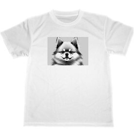 ポメラニアン　ドライ　Tシャツ　2　イラスト　アート　犬　グッズ　Pomeranian　DOG