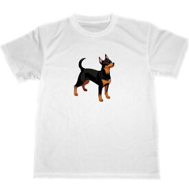 ミニチュアピンシャー　ドライ　Tシャツ　犬　グッズ　ペット　miniature pins　dog dry T-shirt