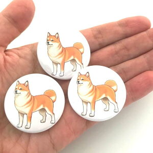 Č@ʃobW@3Zbg@Shiba Inu@DOG@Vo@ybg@ObY