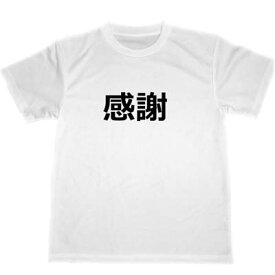 感謝　ドライTシャツ　漢字　熟語　KANJI　　T-shirts　言霊　グッズ