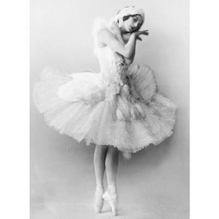 楽天市場 アンナ パブロワ ドライｔシャツ バレエ バレリーナ グッズ プリマ Tuge9999 楽天市場店