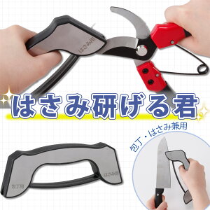 yz͂݌N