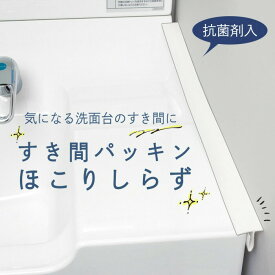 【送料無料】すき間パッキン　ほこりしらず