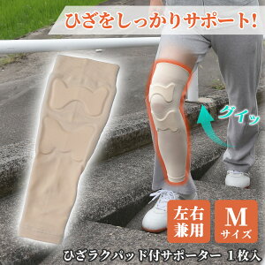 �y���������z�Ђ����N�p�b�h�t�T�|�[�^�[M�i1���g)