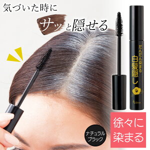 yzr[i@񂾂܂锒B@i`ubN
