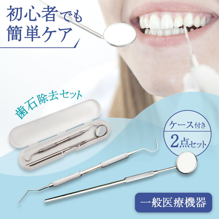 楽天市場】【送料無料】歯石除去セット : 通販奉行