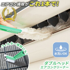 【送料無料】ダブルヘッドエアコンクリーナー