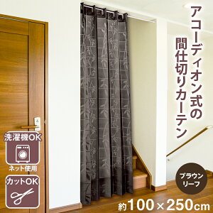 yzAR[fBI̊Ԏd؂J[eiuE[t)