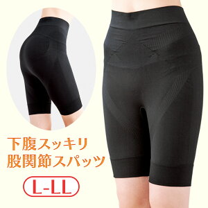 yzXbLҊ֐߃Xpbc@L-LL