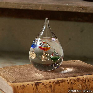 yzJY Fun Science KXt[gxv SS 333-212