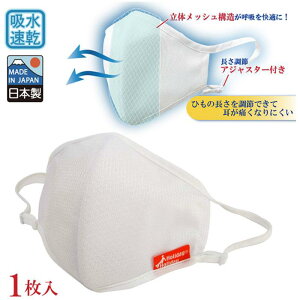 yzN[}bNXgp ̕z}XN 傫 