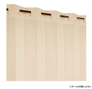 yzArie(A[G) Ԏd؃J[e VLN (100×260) BE 725945100260065