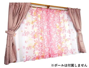 �y���������z�J�[�e�� �{�j�[�^SNE 4P (��100X178) P 725988004178013