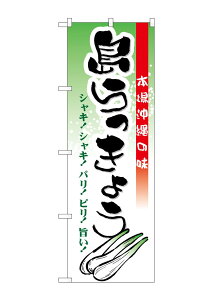 yz ̂ڂ 21203 傤