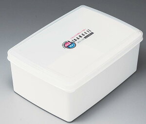 yzENTEC GebN R-31 W  2440ml