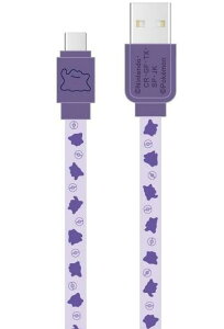 yz|PbgX^[ USB Type-CΉ [dP[u ^ POKE-824B