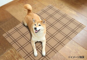 yzybgp@hEhLEh}bg@`FbN@60×90cm@INSF-202@uE