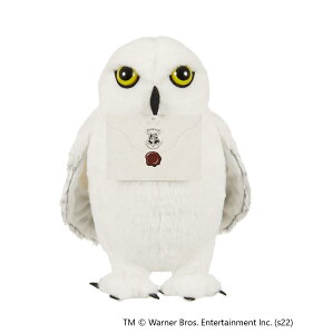 yzZLO` whEBO ʂ 541805
