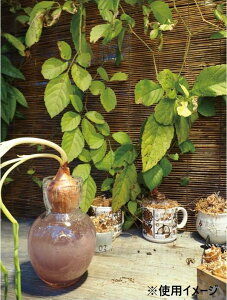 yzDGjLKX 9.5×H14.5 NA[p[v 2C00047CPR