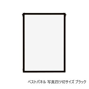 �y���������z A.P.J. �A���~�t���[���E�A���~�p�l�� �x�X�g�p�l�� �ʐ^�l�c�؃T�C�Y�i243×294mm�j�@�u���b�N�E0020188021