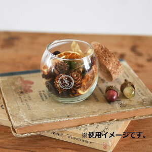 yzJY Seasonal Scenery |v Autumn forest 730-202