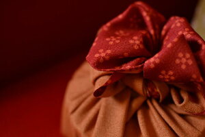 yzRc@ C~(ӂ낵) 70 GF x~ PPܓ AJ/IW 10216-203