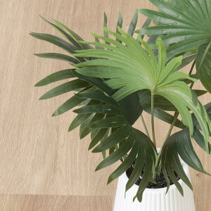 yzsf iC/D:41129j tFCNO[ pi}\E Z~bN|bg