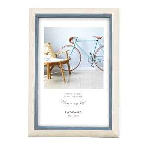 yz hi yʃtHgt[ ʐ^ |XgJ[h lCr[ SF14-P-NV