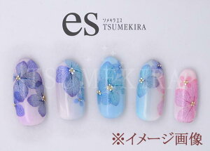 yzTSUMEKIRA(cL) lCV[ es z2 ES-AJI-102