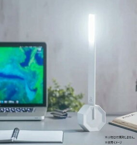 yzGingko IN^S fXNCg zCg GNK040003