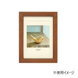 yz hi tHgt[ ʐ^ ؐtHgt[ DF43-2L-BR