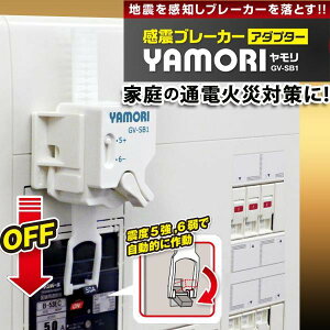 yzLINTEC21(ebN21) ku[J[A_v^[uYAMORI()v GV-SB1