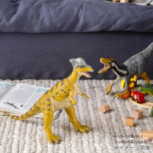 yzFD-323 pLPt@TEX rj[f 70698