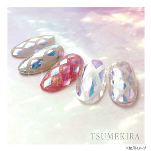 �y���������zTSUMEKIRA(�c���L��) �l�C���V�[�� �I�[�����z�� �I�[�����t�B�����V�[�� �_�C���J�b�g OH-DIC-101