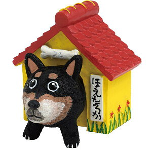 yz[p[ 䒉 hbO RNV MTCY(܂ߎ ق납) IT-01802