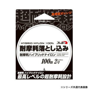 yz }geOX ϖ՗Ƃ 100m 2.5