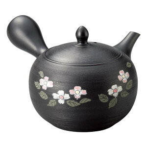 yztH3Ԑ؋}{ 600cc Y-861