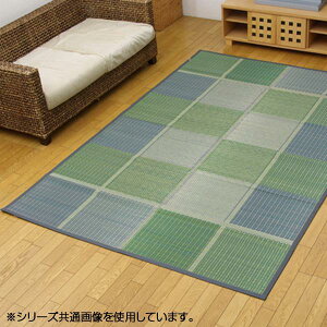 yzY ԂJ[ybg O wFUBUKIx O[ ]ˊ6(261×352cm) 4112206