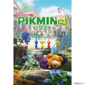 yzNintendo WO\[pY 300s[X sN~4 300-3101