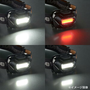 yzOHM LEDwbhCg LEAD WARRIOR 300lm LC-LW300C-K