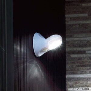 yz7LED}`ZT[Cg SV-5462 3186-384