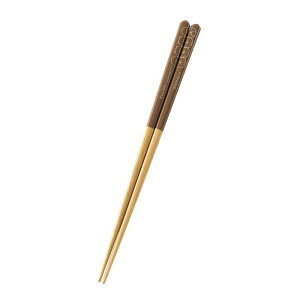 yzATqm ݂R炵 H 21.0cm