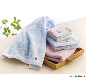 yztFCX^I2Zbg sN 22743-02620-107(sN) 2081-052