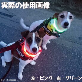 【送料無料】PLATZ プラッツ 犬用首輪 散歩用品 セーフティカラー 55 イエロー AX10052